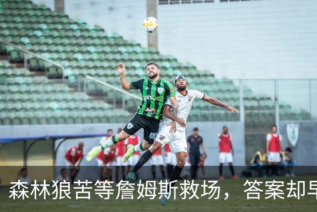 森林狼苦等詹姆斯救场，答案却早已身披5号